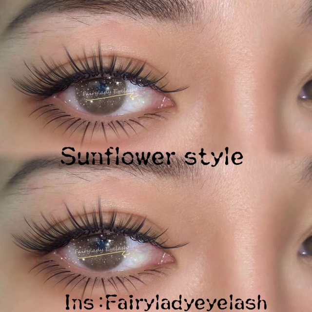 image7 - Fairylady Lashes