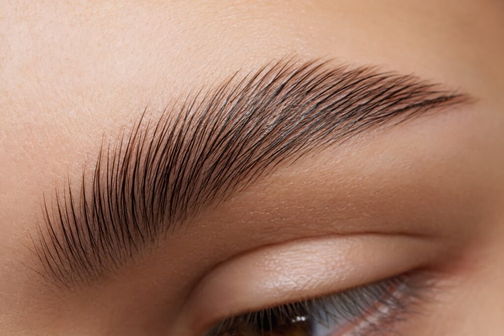 Laminated eyebrow close-up after brow lamination at Fairylady Eyelash in Diamond Bar, CA